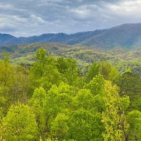 Amazing Views Villa Gatlinburg Phòng bức ảnh