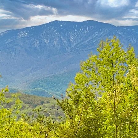 Amazing Views Villa Gatlinburg Phòng bức ảnh