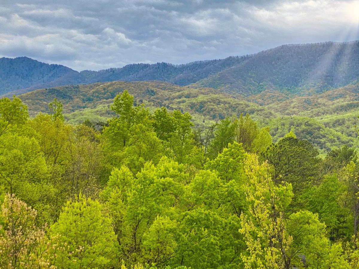 Amazing Views Villa Gatlinburg Phòng bức ảnh