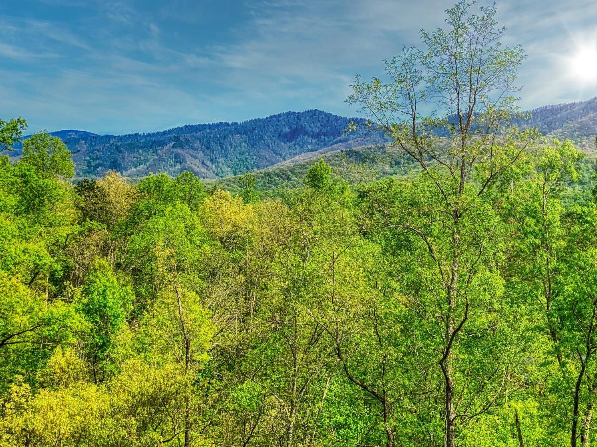 Amazing Views Villa Gatlinburg Ngoại thất bức ảnh
